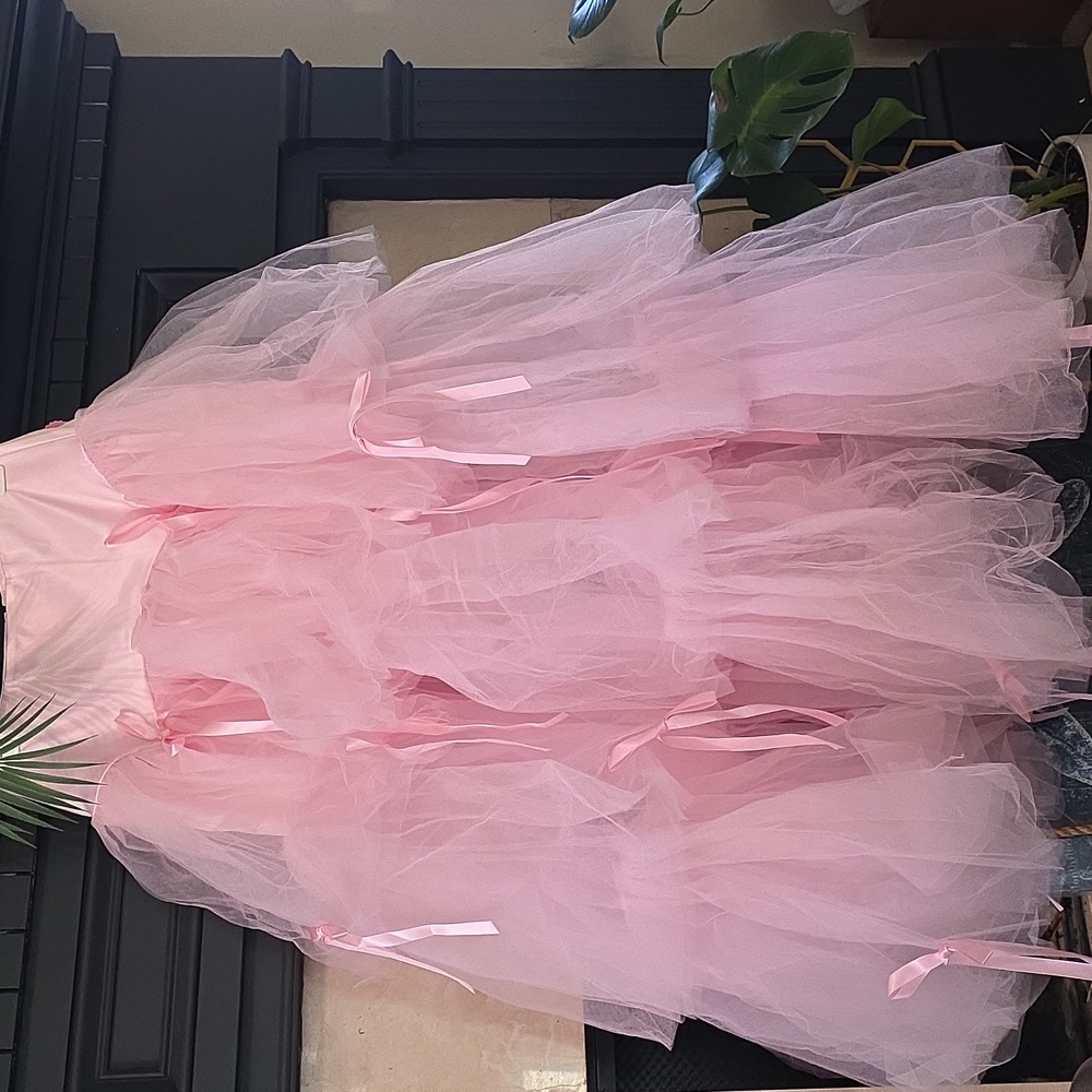 Pink Tulle Skirt with Ribbons